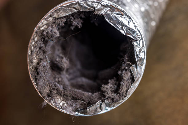 Best HVAC Duct Inspection Services  in Plano, TX