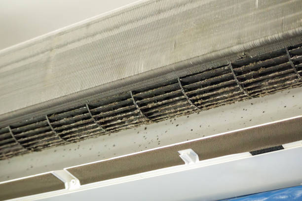 Best Commercial Air Duct Cleaning  in Plano, TX